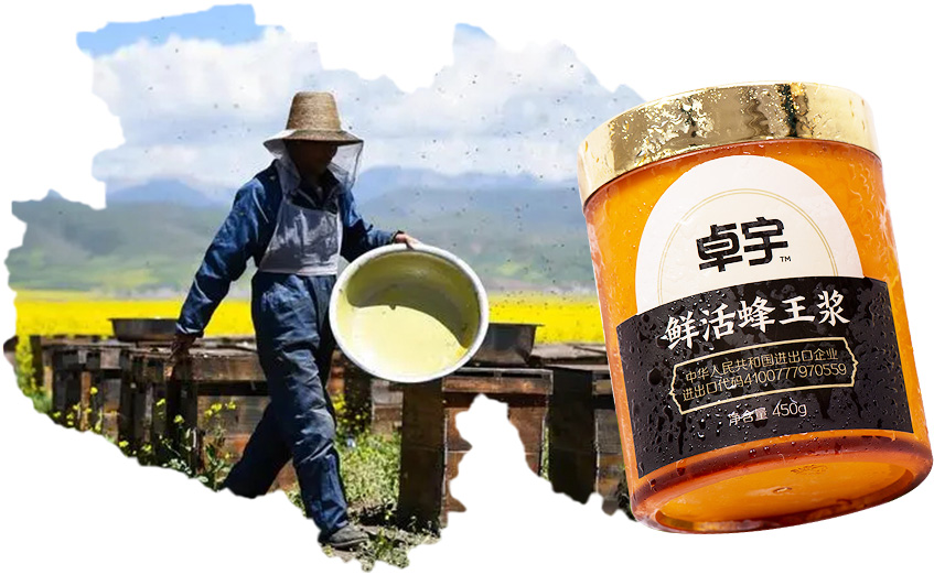 青海養(yǎng)蜂基地